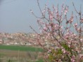 /album/resim-galerisi/a44-jpg/